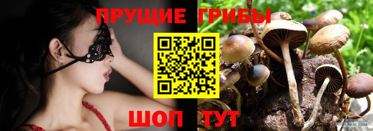 Электросталь  Псилоцибиновые грибы ЛСД  Вход с VPN 