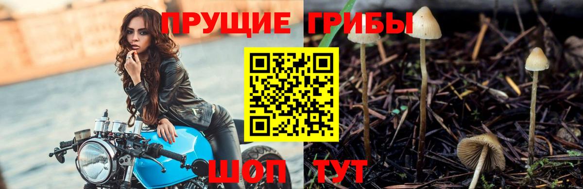 Псилоцибиновые грибы Magic Shrooms Электросталь